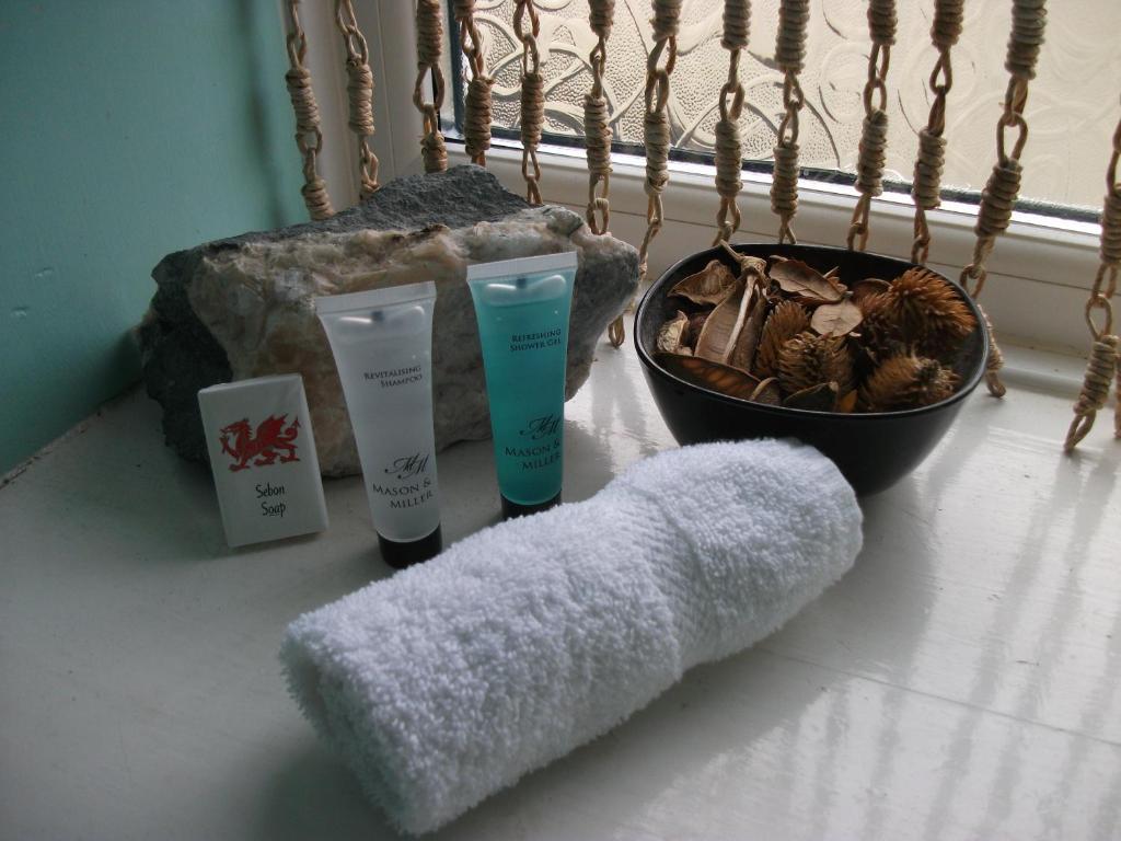 Bryn Llewelyn Bed and Breakfast Betws-y-Coed Habitación foto